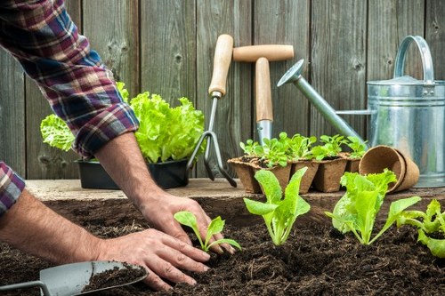 Eco-friendly landscaping practices in a Shadwell home garden