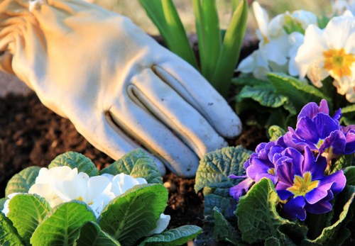 Photo placeholder showing a gardener inspecting a garden bed