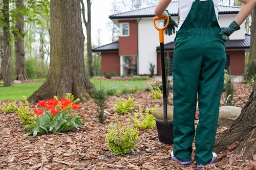Vibrant flower beds maintained by Shadwell gardening professionals
